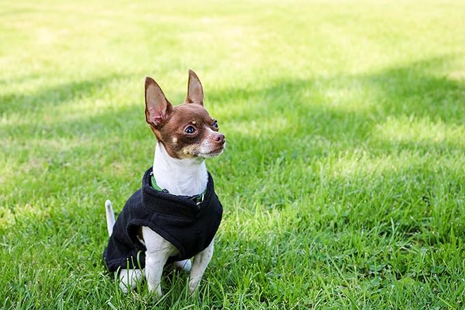 JACKO & CO - Fleece Vest Dog Sweater with Leash Ring - Soft, Warm & Lightweight Pullover Coat for Small & Medium Dogs, Puppies & Cats - Cozy Fall/Winter/Spring Pet Jacket (Black, X-Large 17-25lbs)