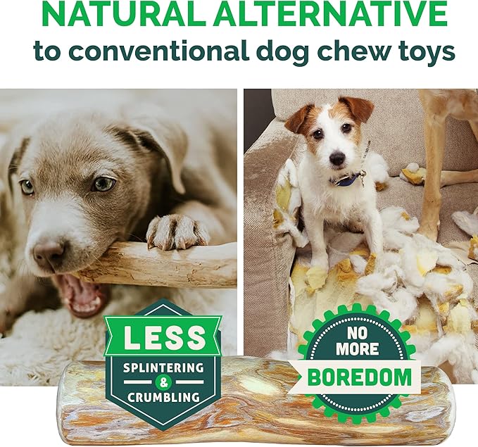 LuckyTail Wooden Stick - Coffee Tree Dog Chew Toy for Aggressive Chewers (Medium (2 Count))