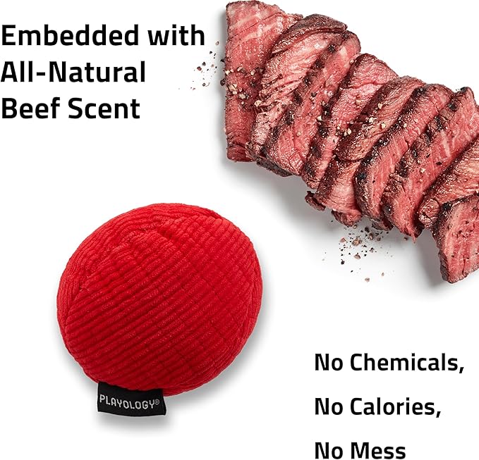 Playology Dog Toys | Squeaky Plush Toy Ball for Dogs | Medium Beef Scented Toy - Easy to Clean and Made from Non Toxic Materials
