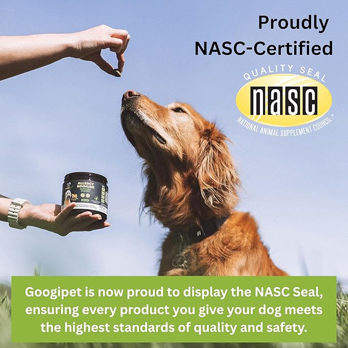 Googipet Probiotics for Dogs Digestive Health - Prebiotics and Probiotics Chews for Dogs Gut Health + Digestive Enzymes - Dog Probiotics for Yeast Itchy Skin Itchy Ears w/Papaya, Pumpkin, & Fiber