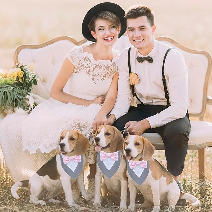 ADOGGYGO Formal Dog Tuxedo Wedding Pet Bandana Collar with Bowtie, Adjustable Birthday Wedding Formal Tux Costumes for X-Small Pets (XS, Grey)