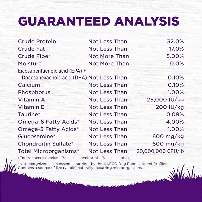 Wellness Complete Health Puppy Dry Dog Food, Grain Free, Natural, Chicken & Salmon Recipe, (22-Pound Bag)