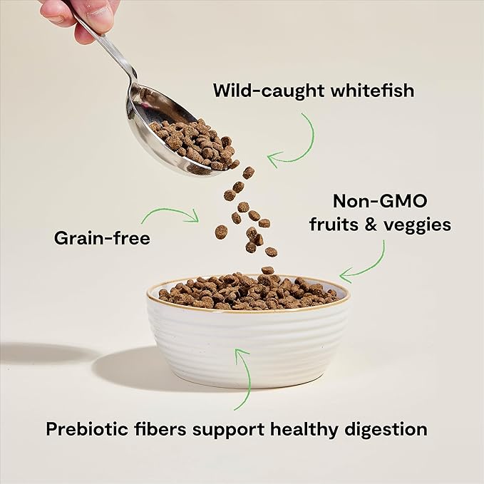 Open Farm, Grain Free Dry Cat Food, High-Protein Kibble for a Complete & Balanced Diet, Non-GMO Fruits & Vegetables, Prebiotic Fibers to Support Digestion, Catch-of-The Season Whitefish, 4lb Bag