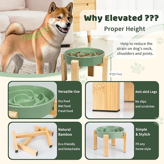 Elevated Slow Feeder Dog Bowl - Puzzle Maze Dish with Bamboo Stand - Raised Ceramic Food Bowl for Medium and Large Dogs - Green - 8.8 inch