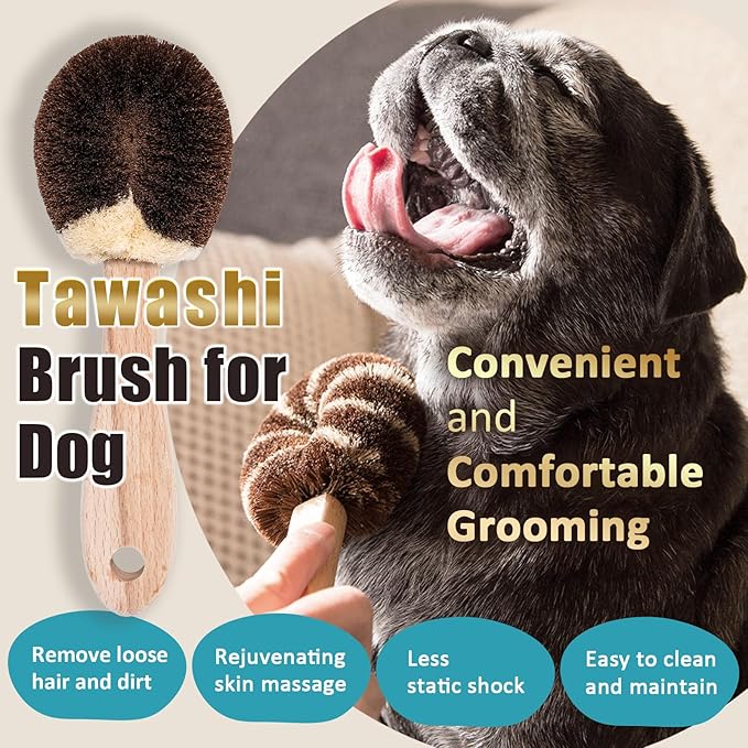 Dog Grooming Massage Tawashi Brush with Wood Handle Less Static Natural palm fiber Made in Japan (Small dog A)