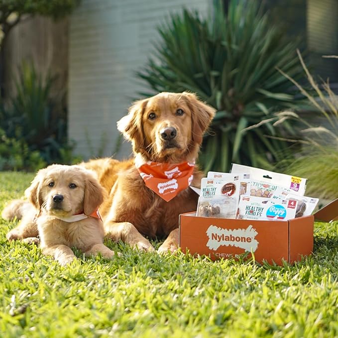 Nylabone Healthy Edibles WILD Natural Dog Chew Treats, Bison Flavor, Small Dogs Up to 20 lbs - Made in USA (16 Count)