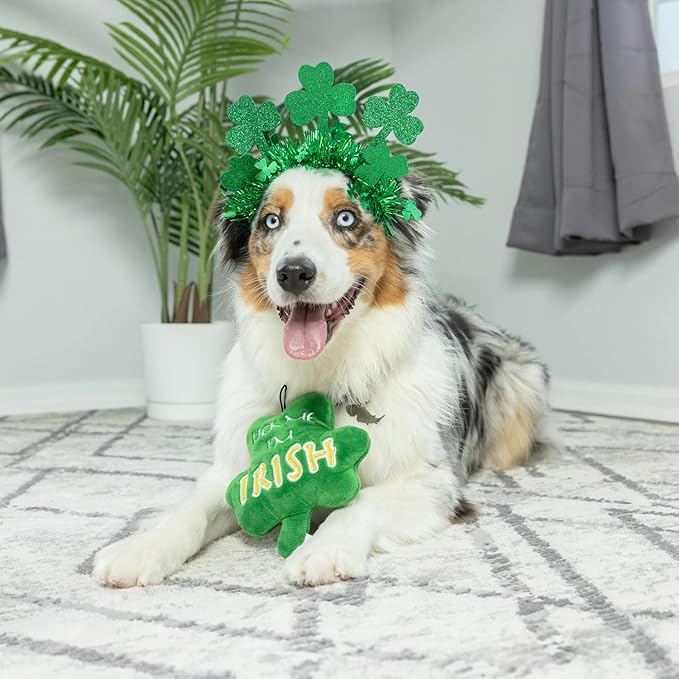 Huxley & Kent Funny Dog Toy w/Squeaker – Power Plush Squeaky Dog Toys for Small, Medium & Large Dogs – Soft Stuffed Animal for Indoor Play & Fetch - Lick Me Shamrock, One Size