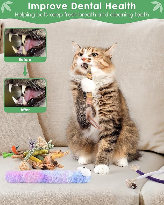 Bissap 20 PCS Silvervine Chew Sticks for Cats, Catnip Chew Ropes Cat Toys for Indoor Cat Kitten Teeth Grinding Interactive Feather Toys for Aggressive Chewers Dental Care