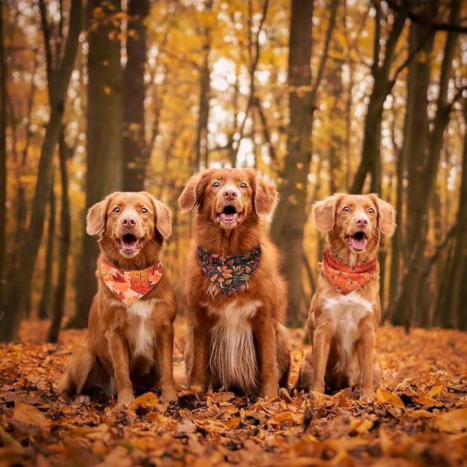 PAWCHIE Dog Bandanas Small Reversible Styles Pet Triangle Scarf Bibs - Adjustable with Two Snaps - Kerchief Set Accessories for Dogs, Puppy, Cats