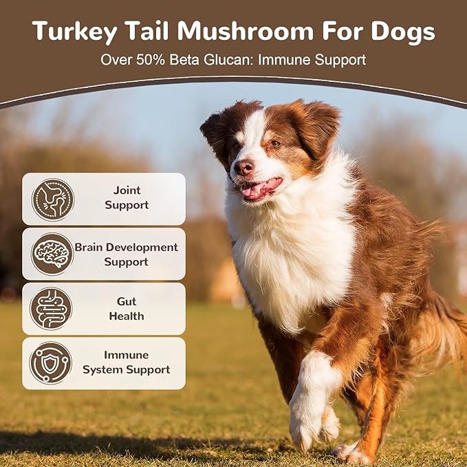 Turkey Tail Mushroom Powder for Dogs, Organic 10 Mushroom Blend for Lumps and Bumps, Dog Herbal Supplements Probiotic with 50% β-Glucan, Joint Gut Immune Skin Support-45 Day Supply
