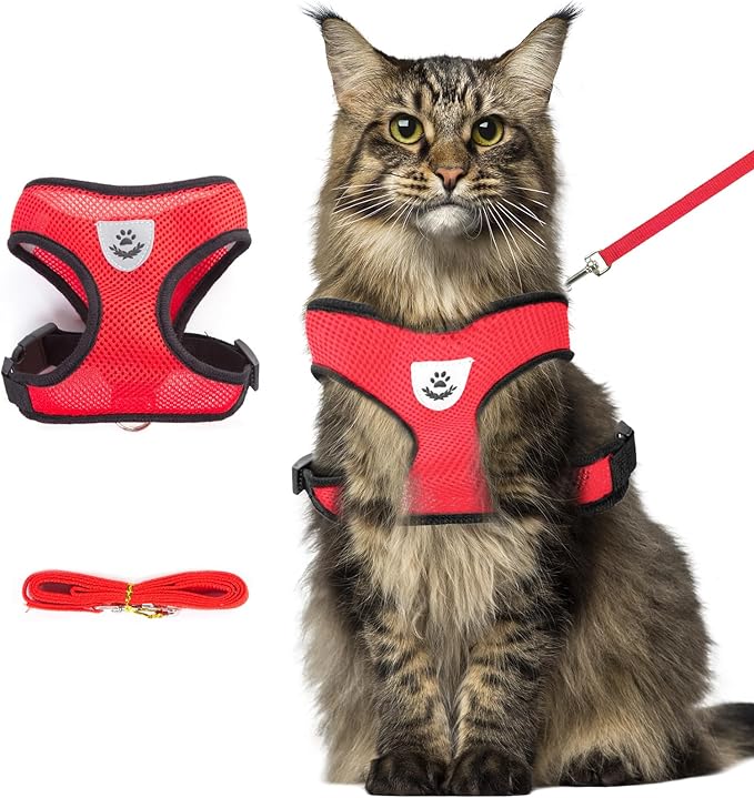 shudyear Summer cat Chest Harness and Leash, Anti-Escape Adjustable Soft mesh cat Leash and Chest Harness Set for All Types of Cats cat Vests(Size XL,Red)