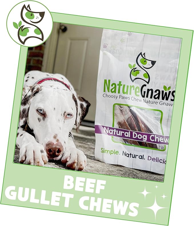 Nature Gnaws Beef Gullet Chews for Large Dogs 9-10" (50 Count) - Natural Beef Jerky Stick Dog Chew Treats - Rawhide Free