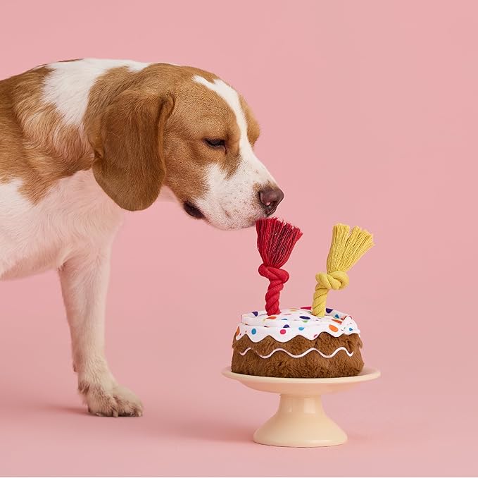 LE SURE Dog Birthday Cake Toy - Cute Dog Birthday Cake Squeaky Toy with Interactive Tug Rope, Interactive Chew Toy for Puppy Birthday Party & Daily Play, XSmall, Milk Chocolate
