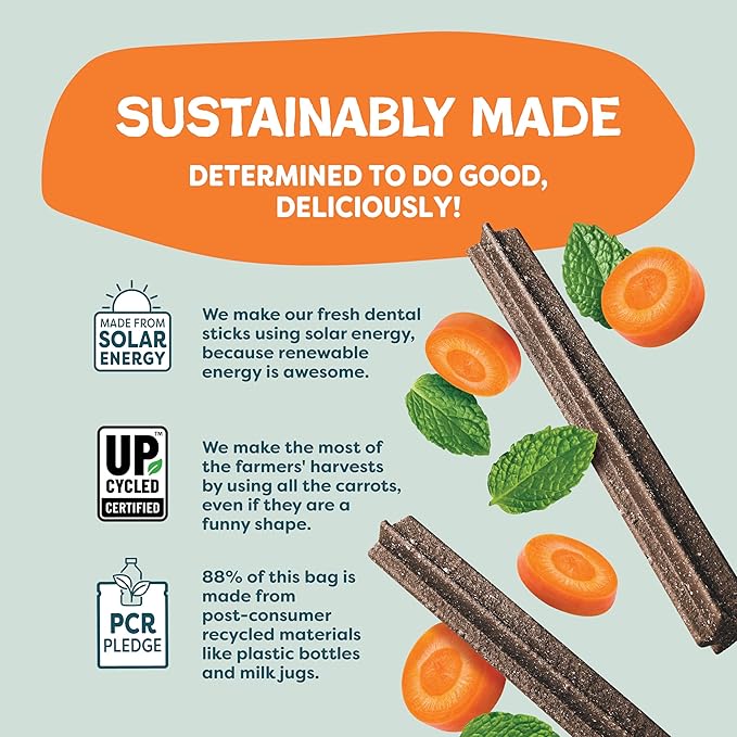 Shameless Pets Dental Treats for Dogs, Carrate Chomp - Healthy Dental Sticks with Skin & Coat Support for Teeth Cleaning & Fresh Breath - Dog Bones Chews Free from Grain, Corn & Soy