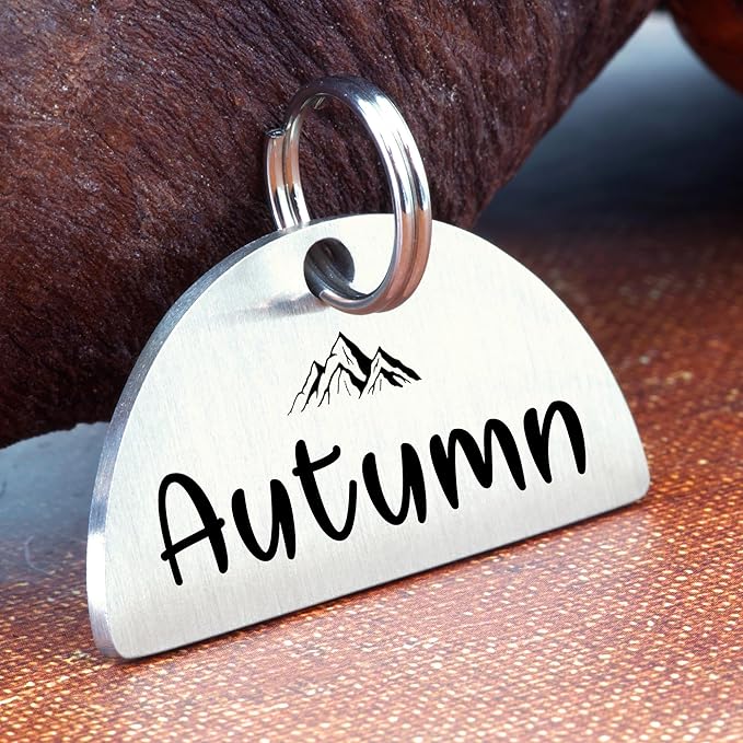 Ultra Joys Personalized Cat Collar Name Tag Small Pet ID Tags for Cats - Customized Mini Cute Dog Cat ID Tag - Bothside Engravable Lightweight Durable Stainless Steel - Semi Circle Tag in Silver