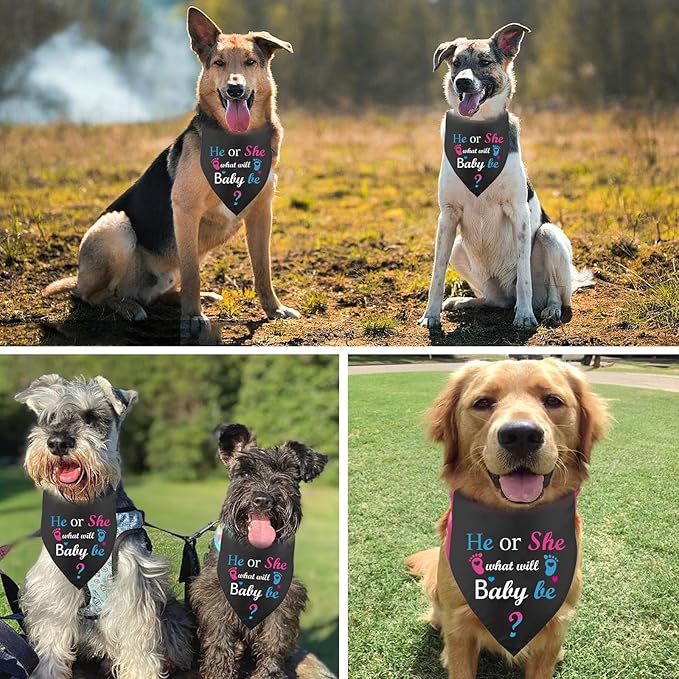 He or She What Will Baby Be? Reveal Announcement Dog Bandana, Pregnancy Baby Announcement, Pets Prop Party Supplies, Dog Accessories