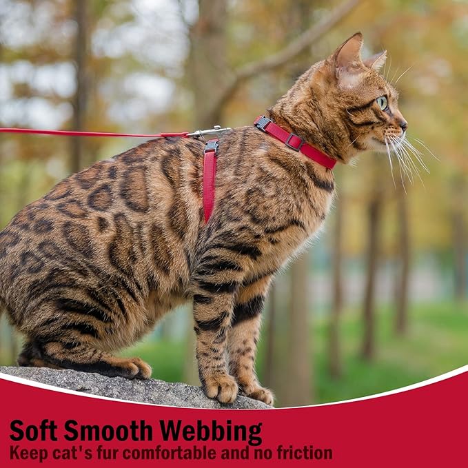 PUPTECK Adjustable Cat Harness and Leash Set Escape Proof Kitten Strap Collar for Walking Travel, Red