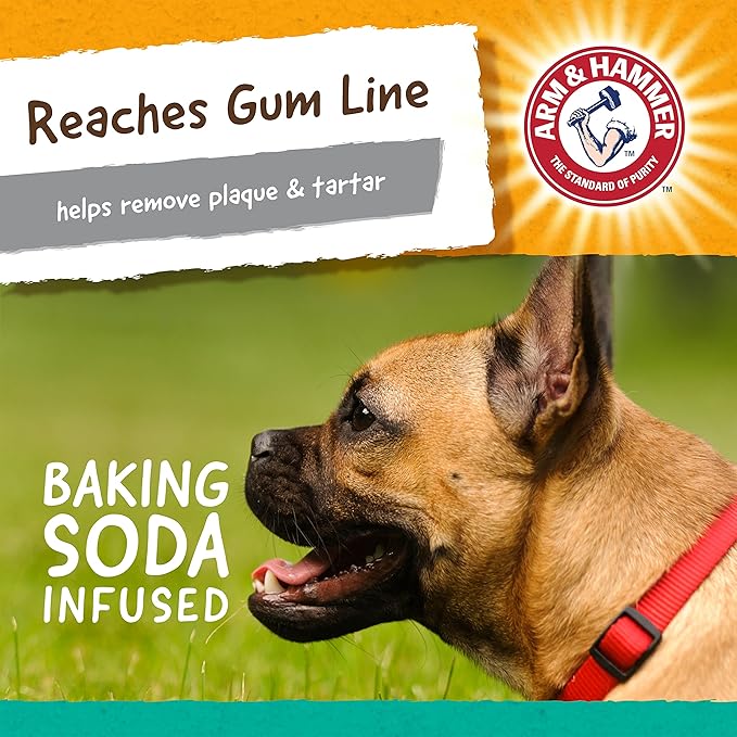Arm & Hammer for Pets Super Treadz Gorilla Dental Chew Toy for Dogs - Dog Dental Toys Reduce Plaque & Tartar Buildup Without Brushing - Safe for Dogs up to 35 Lbs