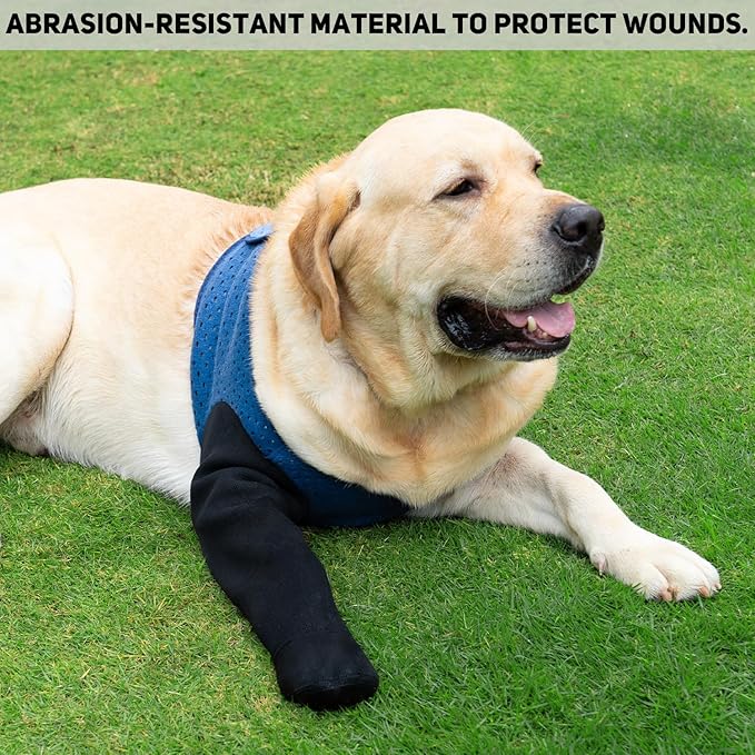 COODEO Dog Socks to Prevent Licking Paws, Healing Boots & Paw Protectors with Non-Slip Bottoms for Wound Protection, Waterproof Sleeve Shoes for Licking（Blue，XL_Left