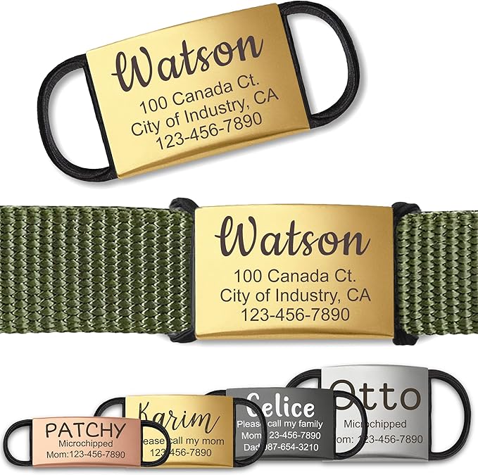 Anavia Slide On Silent Pet ID Tags, S/M/L/XL Personalized Stainless Steel Cat Dog Tag with Elastic Fabric Band, Engraved Nameplate Quiet Chew-Proof Pet Collar Tag (Gold, S/M)