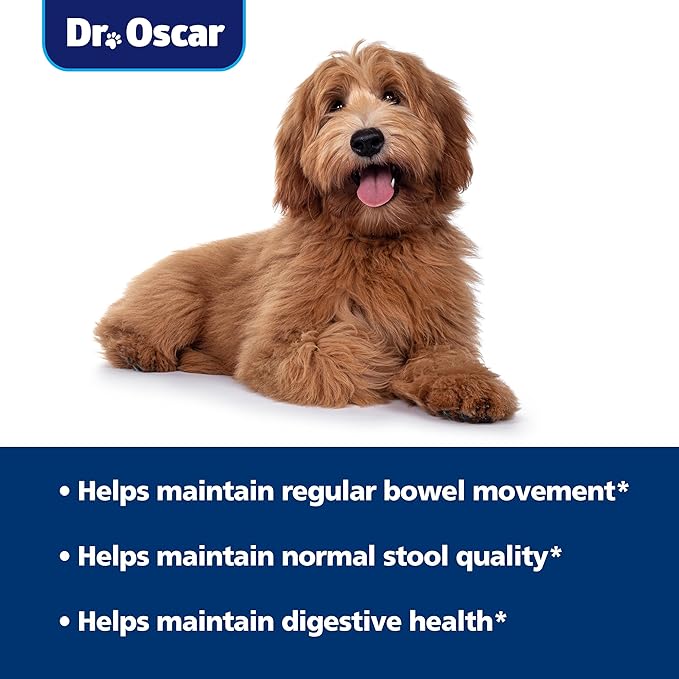 Dr. Oscar Gut Health for Dogs, Fiber for Dogs, Slippery Elm, Probiotics for Digestive Health, Psyllium Husk, Helps Maintain Regular Bowel Movement & Stool Quality, Powder 12.7 OZ, 360 Grams, 90 Scoops