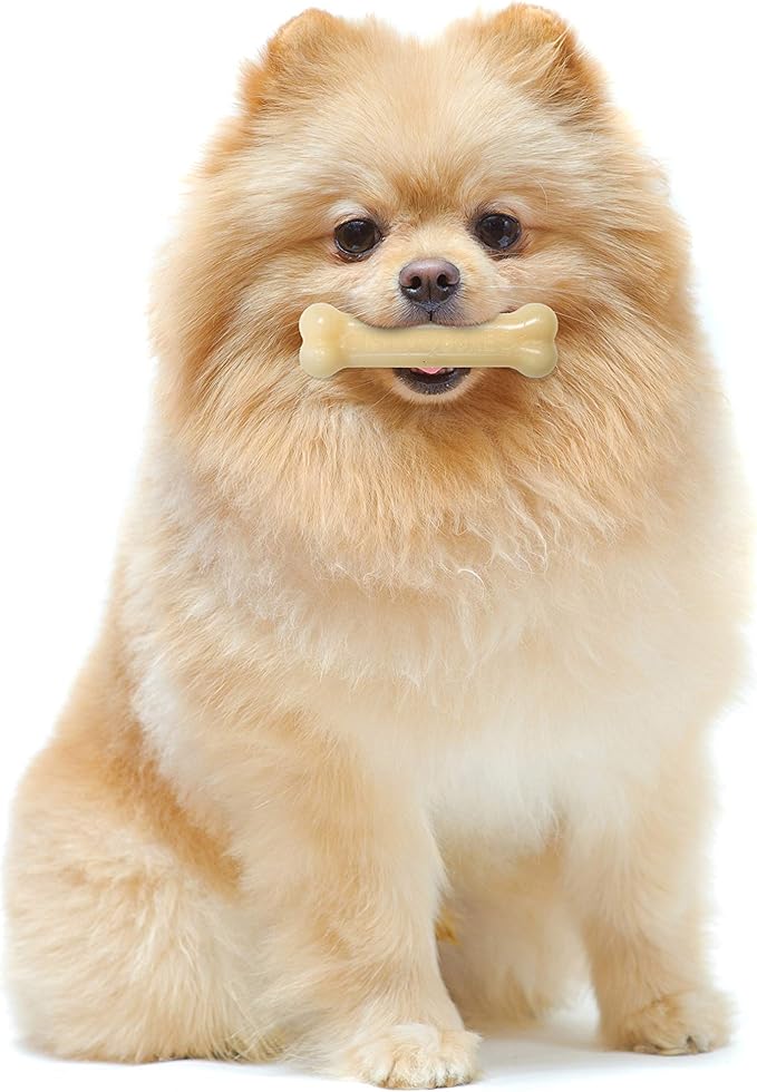 Nylabone Original Bone Power Chew Toy for Dogs, Durable & Tough Dog Toys for Aggressive Chewers, Original Flavor, X-Small/Petite - Up to 15 lbs, 1 Count