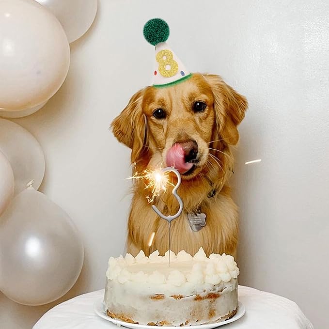 Pet Birthday Hat with Interchangeable Numbers 1-10 | Adjustable Pet Party Cone Hat for Dogs & Cats | Puppy Birthday Photo Props for 1st to 10th Birthday Celebrations (Beige Birtgday Pet Hat)