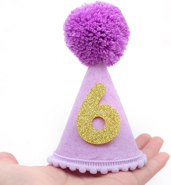 Pet Birthday Hat with Interchangeable Numbers 1-10 | Adjustable Pet Party Cone Hat for Dogs & Cats | Puppy Birthday Photo Props for 1st to 10th Birthday Celebrations (Purple Birthday Pet Hat)