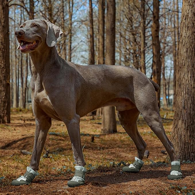 Dog Shoes, Waterproof Dog Boots & Paw Protectors with Anti-Slip Sole, 4pcs/Set Pet Dog Booties, Reflective Dog Shoes for Small Medium Large, Winter Snowy Summer Hot Pavement (Green, 6# (L))