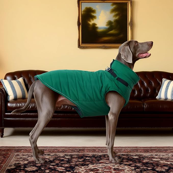 Kuoser Dog Coat, Dog Jackets for Large Dogs, Doggie Winter Coat for Cold Weather, Warm Snow Jacket Pet Apparel Clothes for Great Dane, Green XXXL