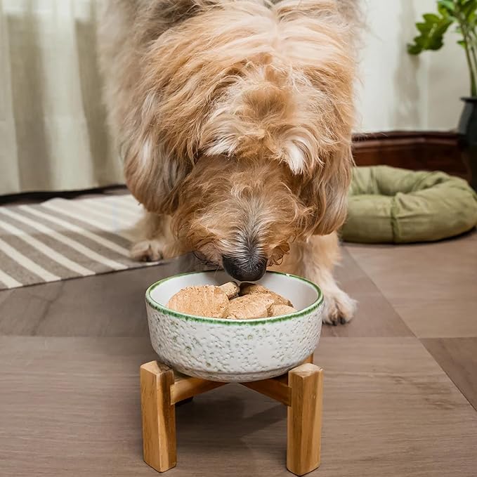 Open Farm, Freeze Dried Raw Dog Food, Patties with 95% Meat, Organs & Bone, Complete Meal or Freeze Dried Dog Food Mixer, Turkey Recipe, 17.5oz Bag