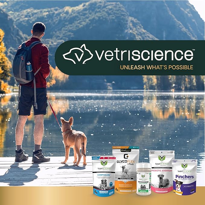 VetriScience Extra Strength Hip & Joint Supplement for Dogs, GlycoFlex 3 –Vet Formulated Glucosamine, MSM & Green-Lipped Mussel Chews for Mobility, Flexibility & Joint Support, Chicken Flavor, 60ct