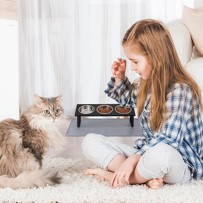 Upgraded Elevated Cat Bowls with Food Mat,15°Tilted Stand Anti Vomiting Raised Cat Dishes for Food and Water,3 Stainless Steel Bowls for Cats and Puppy（Black）