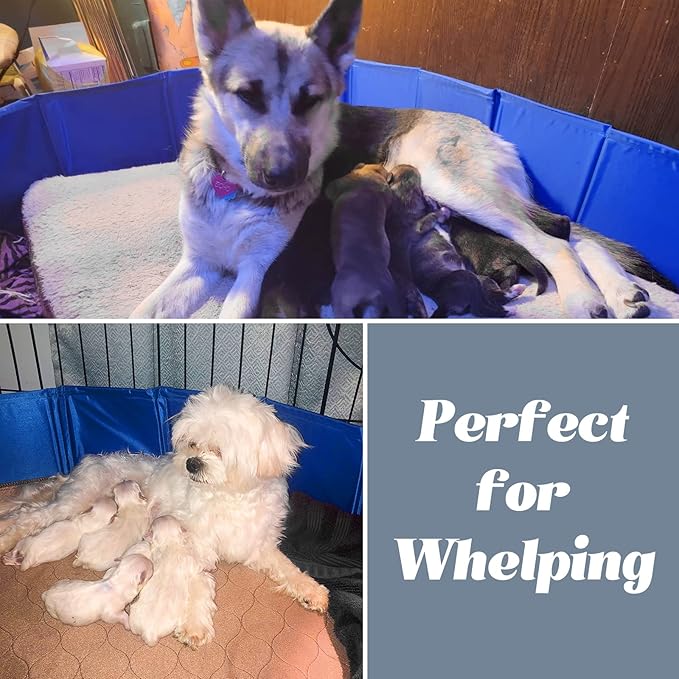 Artilife Whelping Pen for Dogs,Whelping Box for Dogs and Puppies,Dog Birth Supplies,Portable Whelping Pool Whelping Box,Foldable Dog Bath Pool (63inch Dia.x12inch H(160x30cm))
