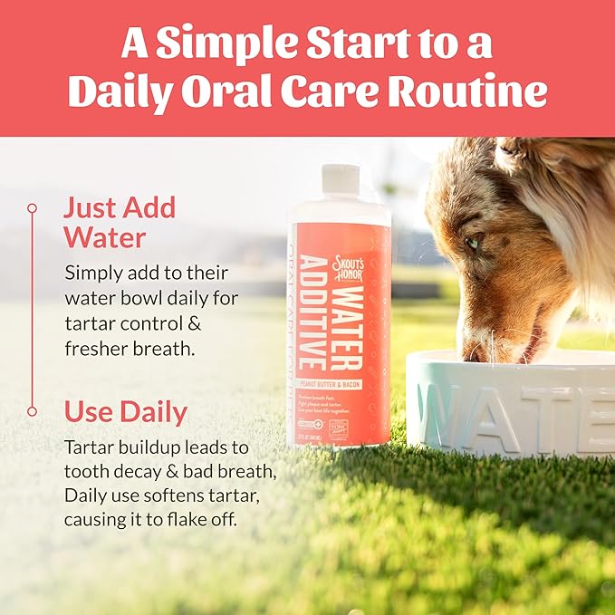 SKOUT'S HONOR Peanut Butter & Bacon Water Additive - VOHC Accepted for Tartar Control, Freshens Breath Fast, No Brushing Required, 32 oz, 2-Pack