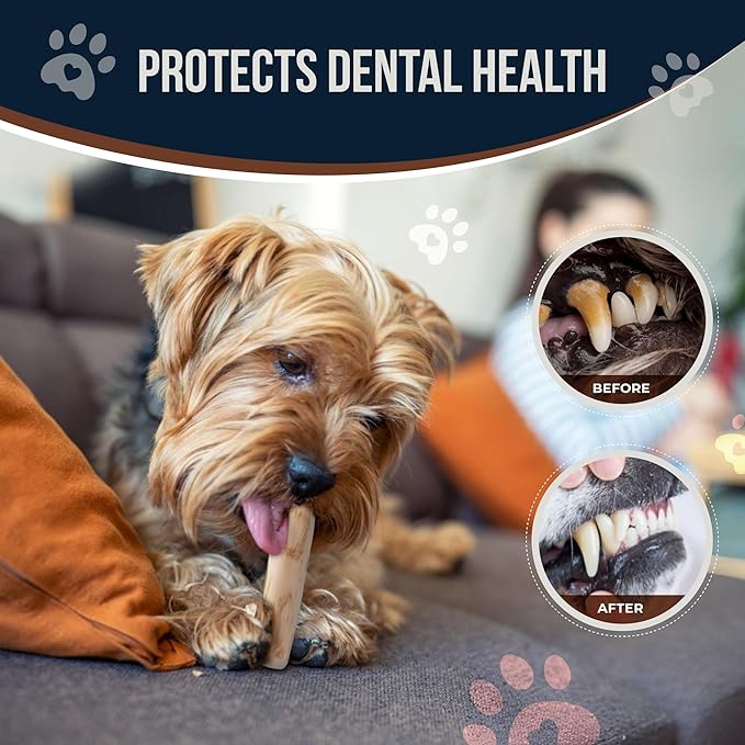Coffee Wood Dog Chew Stick for Small Dogs, 7.5'', 2 Pack Size S - 100% Natural Chew Toys - Teeth Cleaning, Stress Relief, Dog Health - Organic