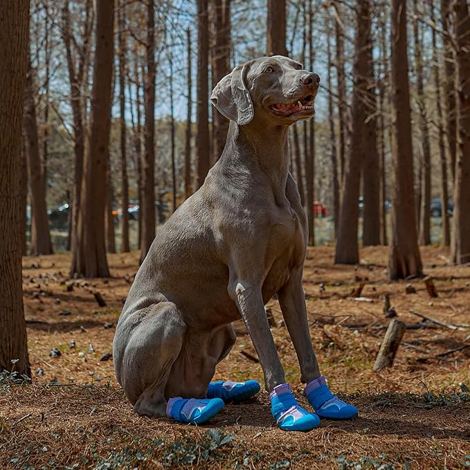 Dog Shoes, Waterproof Dog Boots & Paw Protectors with Anti-Slip Sole, 4pcs/Set Pet Dog Booties, Reflective Dog Shoes for Small Medium Large, Winter Snowy Summer Hot Pavement (Blue, 2# (2XS))