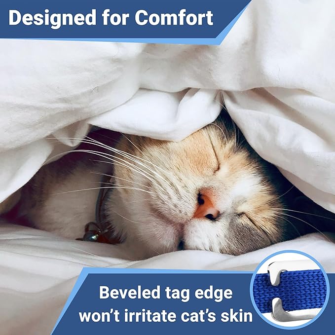 GoTags Personalized Reflective Cat Collars with Tag, Engraved Custom with Name and Phone, Breakaway Collar with Safety Buckle and Bell, Adjustable for Cats and Kitten, (Blue with Nameplate)