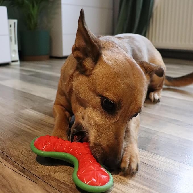 Dingo Toy for Dog, Durable TPR Rubber for chewers, Fetch Toy for Play, Boomerang 9.1", 17395 (Bommerang tri)