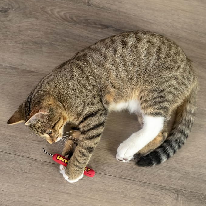 Catstages Green Magic Dynamite Stick Catnip Cat Toy