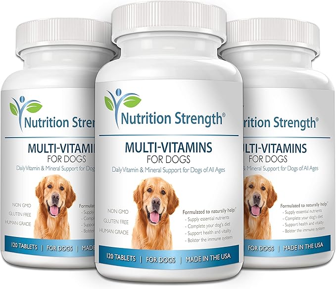 Multivitamins for Dogs, Daily Vitamin and Mineral Support, Nutritional Dog Supplements for All Canine Breeds and Sizes, Promotes Immune Health in Pets, 120 Chewable Tablets