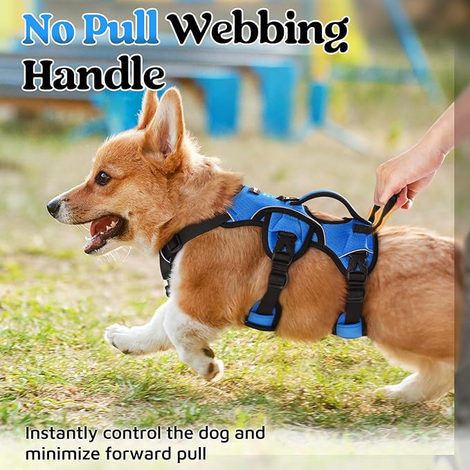 rabbitgoo Escape Proof Dog Harness, Soft Padded Full Body Pet Harness, Reflective Adjustable No Pull Vest with Lift Handle and Leash Clip for Large Dogs Walking Hiking Training, S, Blue
