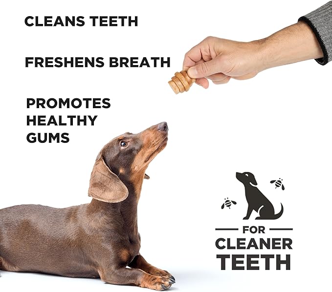 Hive Treats for Dogs Ñ Healthy, Non-GMO Project Verified, Natural Peanut Butter Flavored, Natural, Vegetarian Chews, Made in The USA (Hive Chews, Small Breeds)