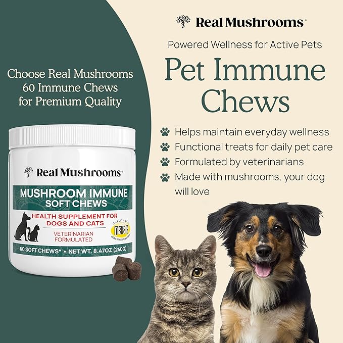 Real Mushroom Immune Pet Chews – For Daily Digestive & Immune Health – Mushrooms for Dogs & Cats Functional Treat – Mushroom Supplement for Dogs & Cats – 1 to 4 Chews For All Breeds & Sizes (60 Count)