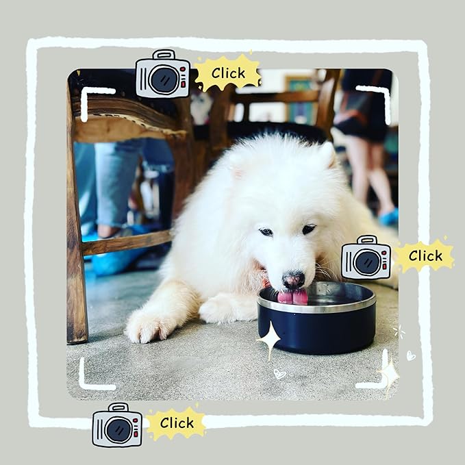 IKITCHEN Dog Bowl for Food and Water, 40 Oz Stainless Steel Pet Feeding Bowl, Durable Non-Skid Double Wall Insulated Heavy Duty with Rubber Bottom for Medium Large Sized Dogs (40 Ounces/5 Cup, Black)