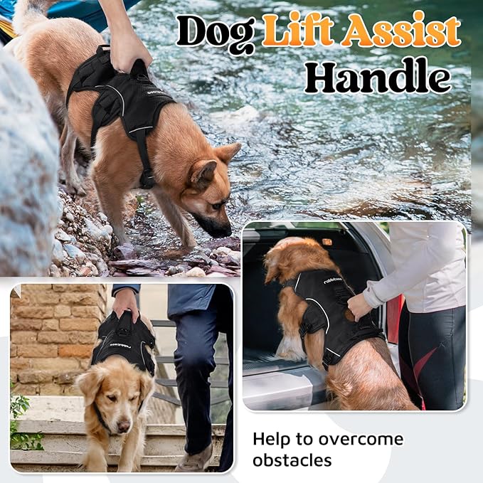 rabbitgoo Escape Proof Dog Harness with Large Handle