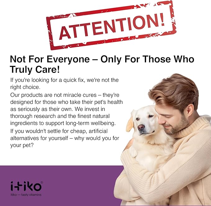 Bone and Joint Supplement for Dogs with Green-Lipped Mussel, MSM, Glucosamine, Chondroitin & Omega-3 | 100-120 PCS of Chews for All Breeds Size