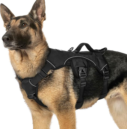 rabbitgoo Escape Proof Dog Harness with Large Handle