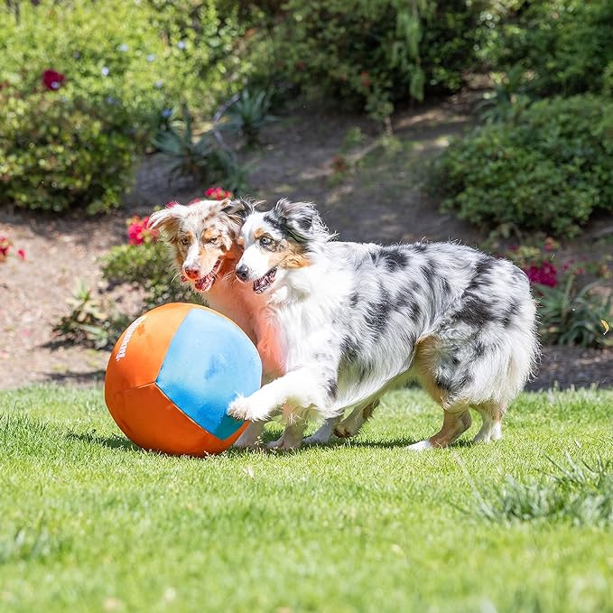 Chuckit! Big Air Fetch Ball Dog Toy (14 Inch) Herding Instincts Dog Toy, for Interactive, Non-Chewing Activities, for All Breeds, Inflating Pump Included