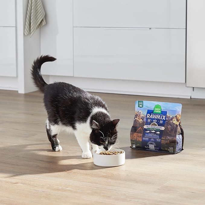 Open Farm, RawMix Dry Cat Food, Protein Packed Kibble Coated in Bone Broth with Freeze Dried Raw Chunks, Formulated For Kittens, Chicken With Turkey & Wild Caught Salmon Recipe For Kittens, 2.25lb Bag